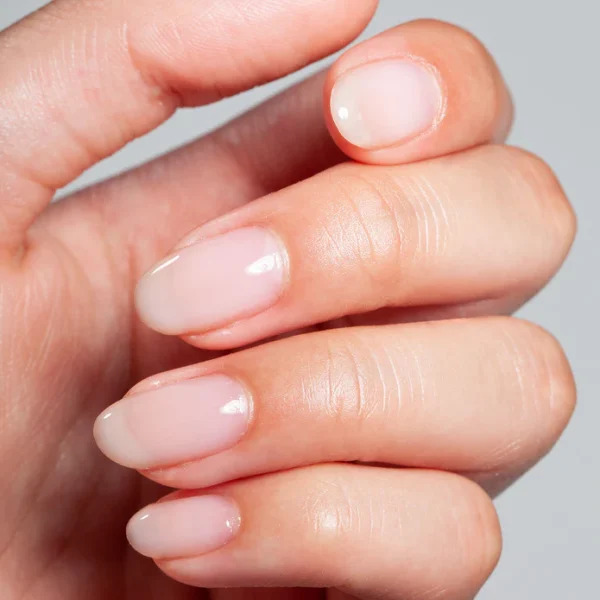 106 UNIVERSAL BASE GEL TULLE - Image 3