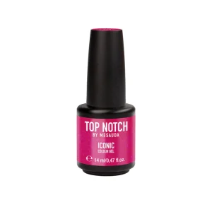 290 ICONIC GEL POLISH VISSIONNAIR
