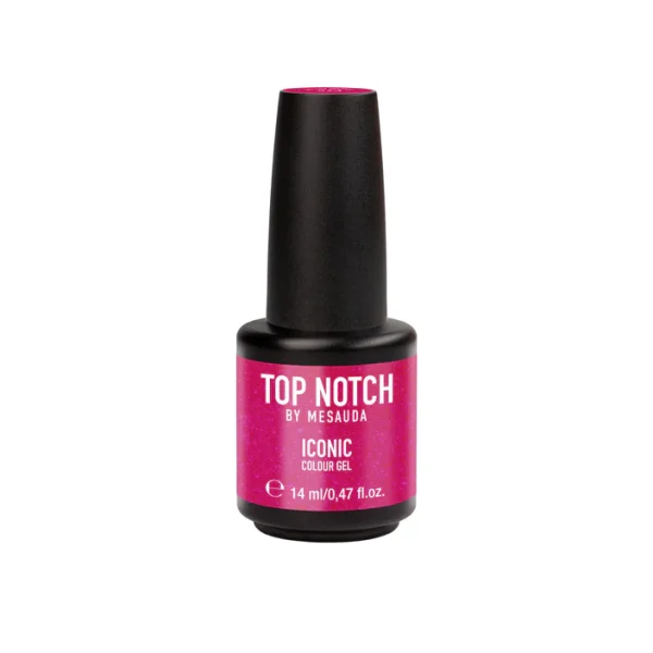 290 ICONIC GEL POLISH VISSIONNAIR