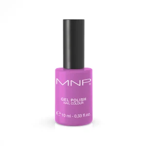 254 MNP THE FAVOURITE