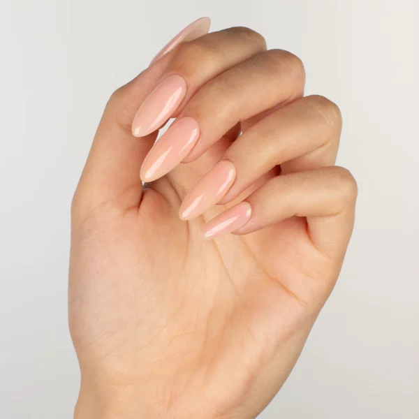 SHEER 708 RADIANCE - Image 2