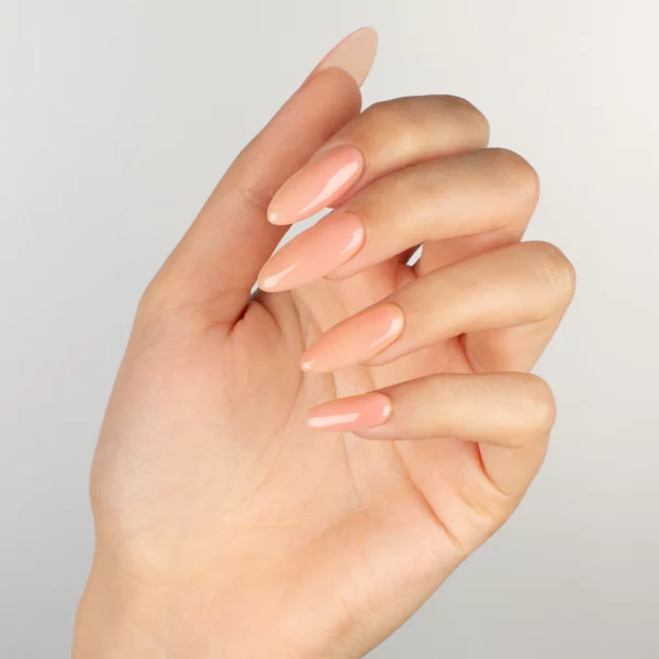 SHEER 709 SYMPHONY - Image 2