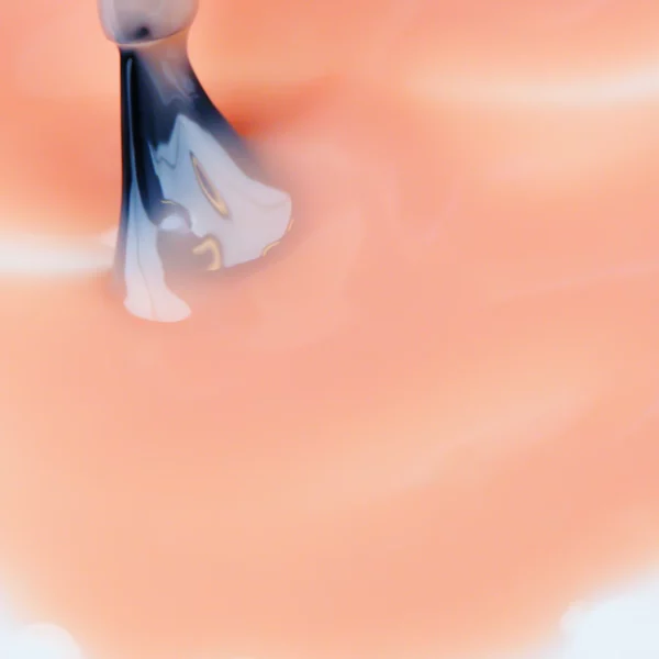SHEER 709 SYMPHONY - Image 3