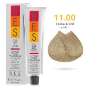 11.00 BES REGAL SOFT COLOR